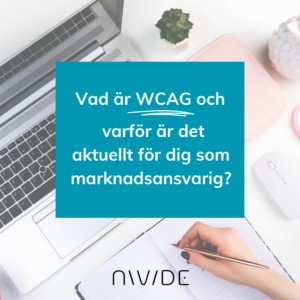 WCAG Web Content Accessibility Guidelines